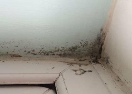 Dublin City Council settle action regarding a damp apartment