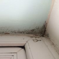 Dublin City Council settle action regarding a damp apartment